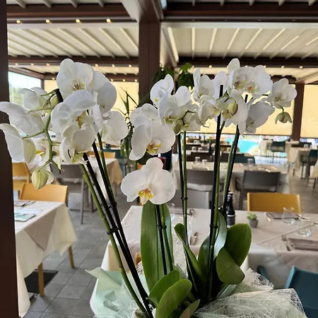 Sisan Family Semesteranläggning (resort) Bardolino